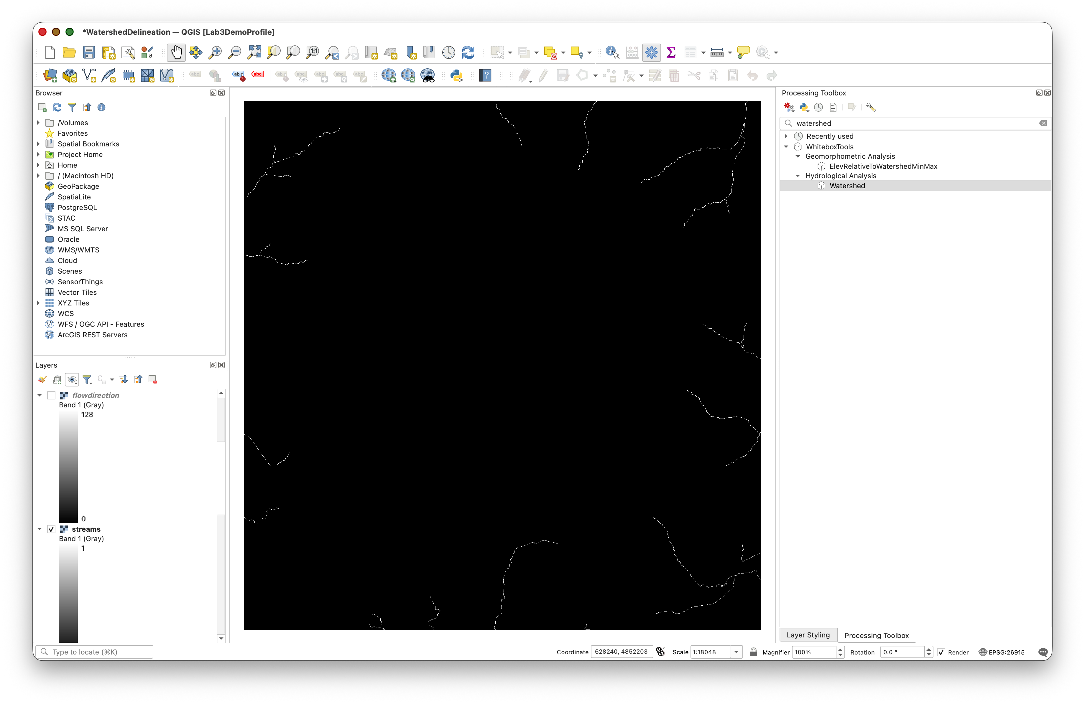 Initial watershed raster output before styling, shown with a dark default symbol.