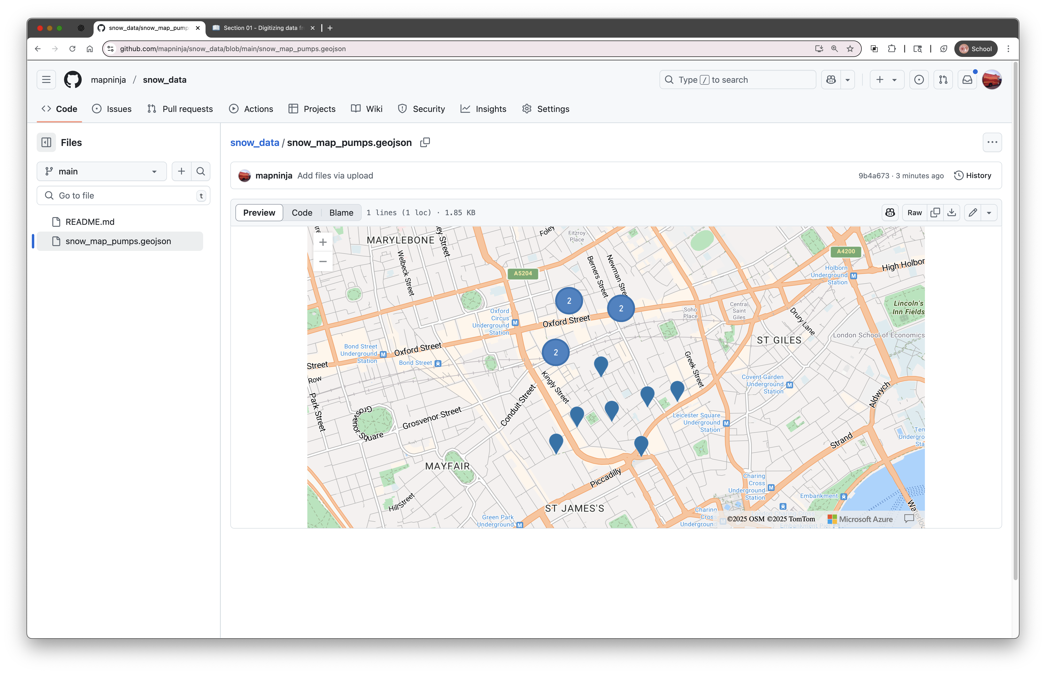 Alt text: Screenshot of GitHub’s auto-rendered map for a GeoJSON file, showing the file above and a live map preview below.
